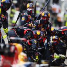 Los mecánicos de Red Bull listos para la parada de Vettel