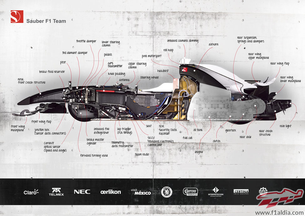 Diagrama del BMW Sauber F1.08 cortado por la mitad