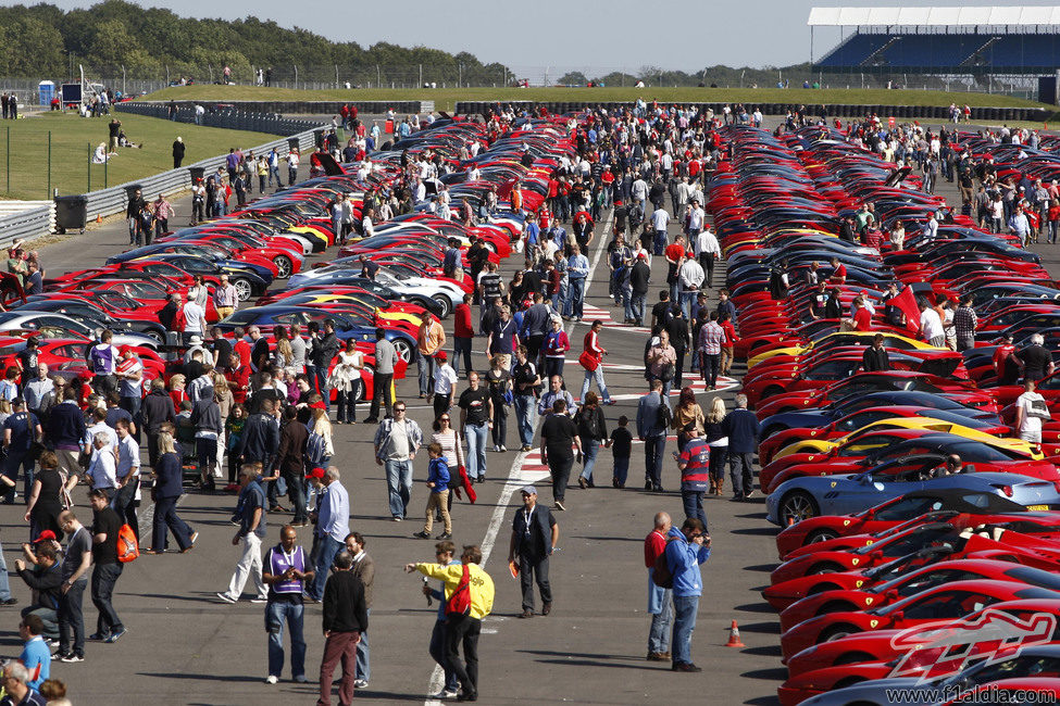 Cientos de Ferraris concentrados en Silverstone