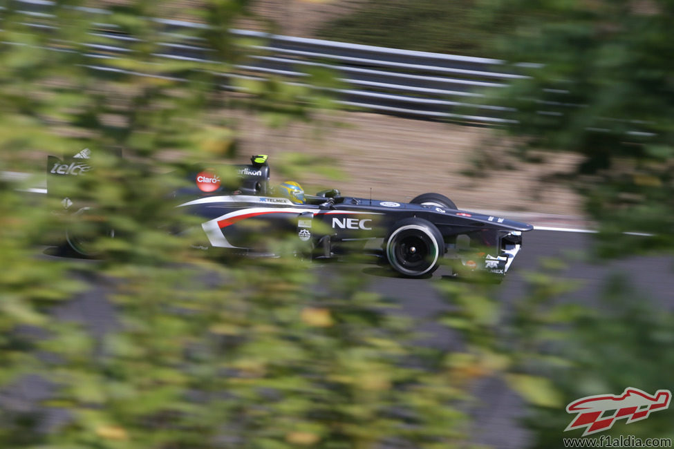 Esteban Gutiérrez lidia con su C32 en Hungaroring