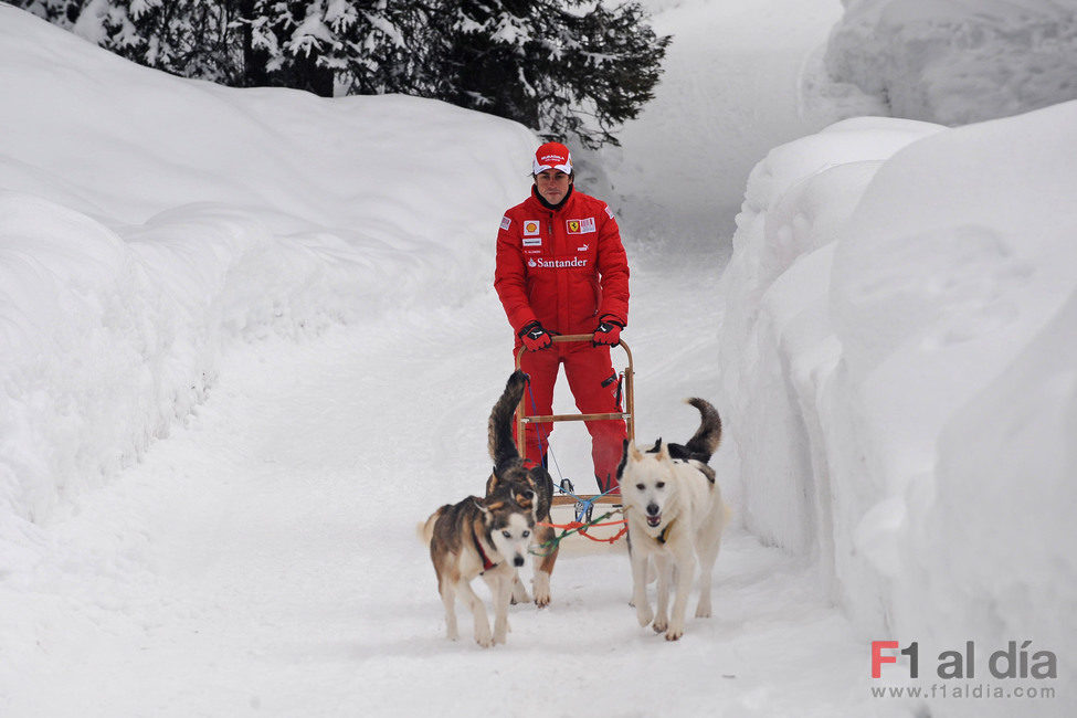 Alonso sobre un trineo tirado por perros