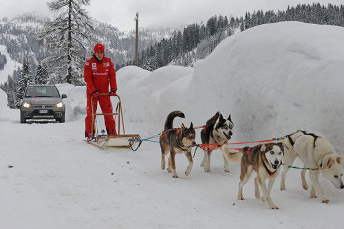 Unos espectaculares perros tiran de Alonso