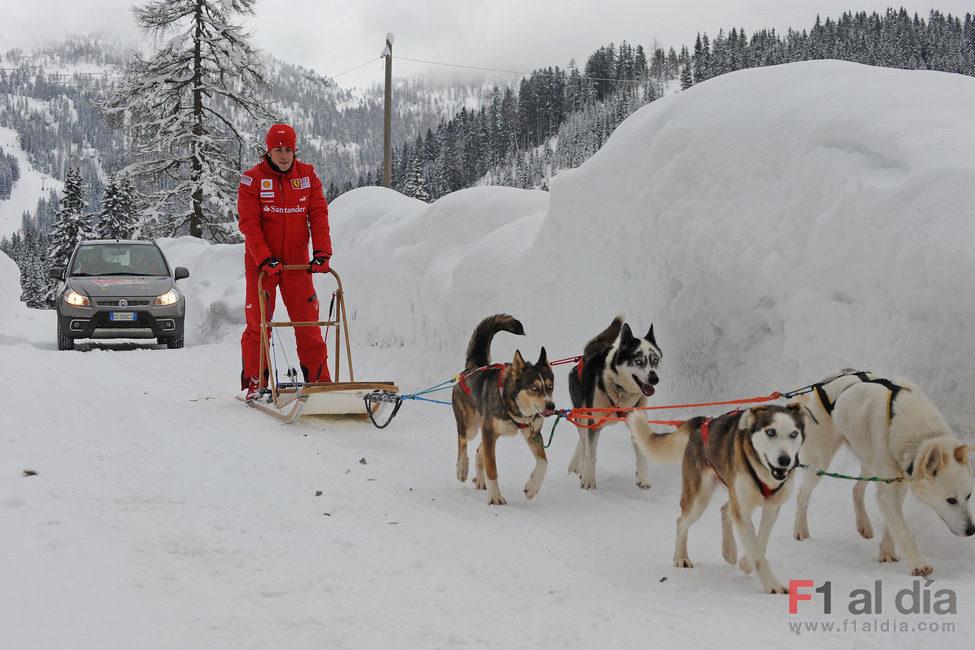 Unos espectaculares perros tiran de Alonso