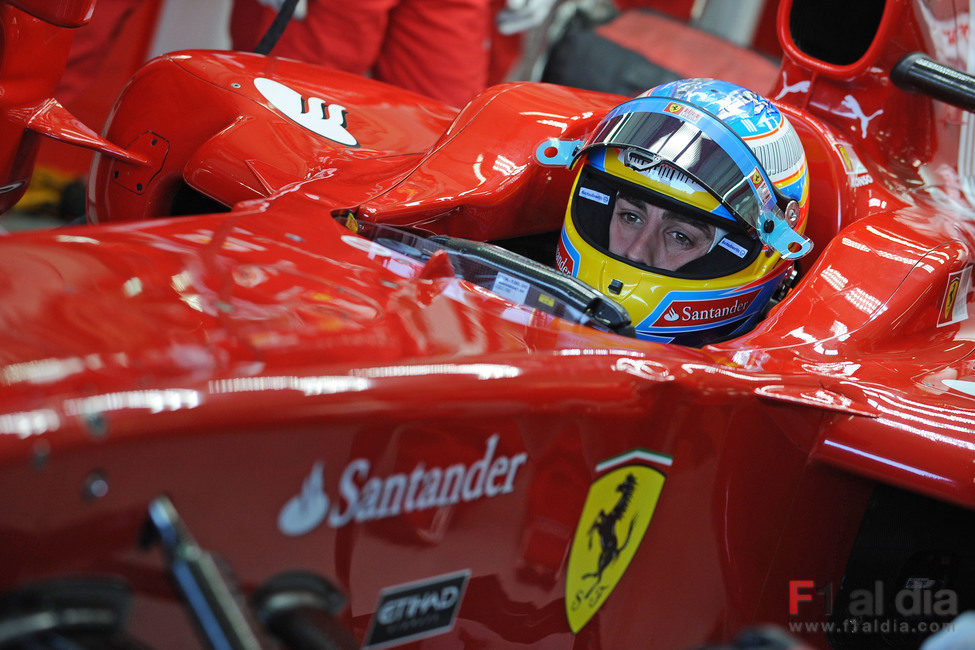 Alonso en el box