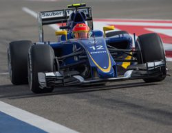 Felipe Nasr: "Considerando nuestro ritmo en tandas largas espero llegar a los puntos"