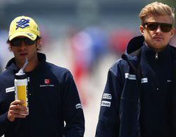 Oficial: Sauber confirma a Marcus Ericsson y Felipe Nasr para 2016