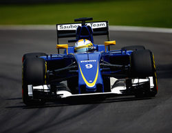 Timothy Malyon sustituye a Giampaolo Dall'Ara en Sauber