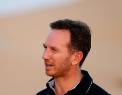 Christian Horner: "Será difícil superar a Mercedes en 2017"