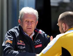 Sin un motorista independiente, Red Bull podría abandonar la F1