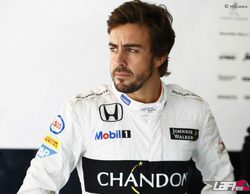 Fernando Alonso advierte a Toro Rosso: "La falta de potencia del motor Honda es alarmante"