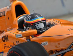 Max Chilton: "Fernando Alonso le hizo mucho bien a la IndyCar con su participación"