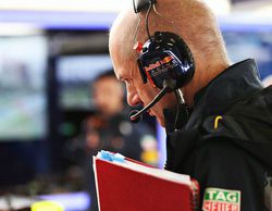 Adrian Newey reparte halagos para Michael Schumacher, Fernando Alonso y Lewis Hamilton