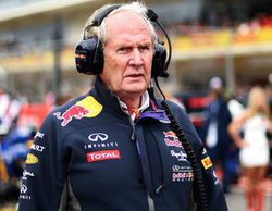 Helmut Marko: "En 2017 podríamos haber terminado el Mundial en segunda posición"