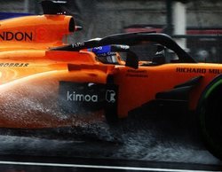 Fernando Alonso: "Gracias a la lluvia hemos conseguido ser undécimos, cerca de los puntos"