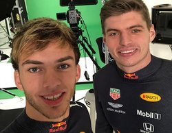 Pierre Gasly: "Compartir garaje con Max Verstappen es lo mejor que me podía pasar"