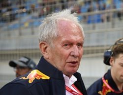 Helmut Marko: "Mercedes no tiene el coche más rápido, pero son los más consistentes"