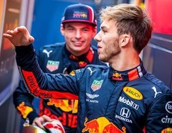 Pierre Gasly: "Es bueno tener a Verstappen como referencia dentro del equipo"