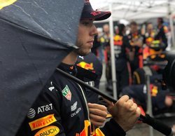 La actual alineación de pilotos de Red Bull se mantiene intacta hasta final de 2019, según Marko