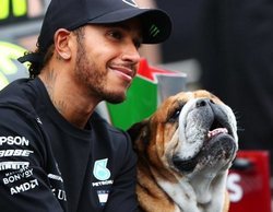 Lewis Hamilton: "Va a tomar algo de tiempo para asimilarlo, sigo en modo carrera mentalmente"