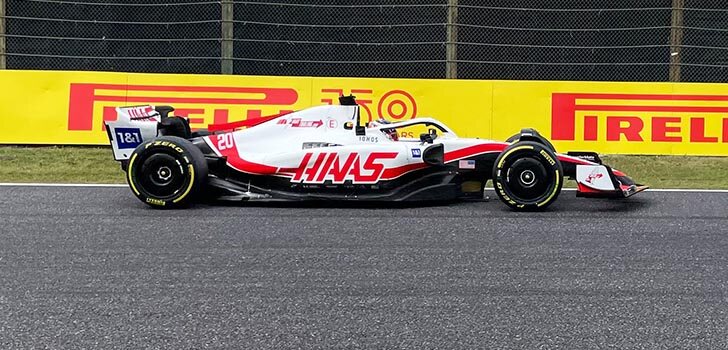 magnussen